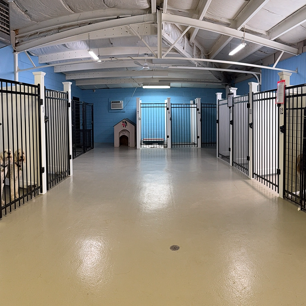 Rosewood x Paws in the Bath