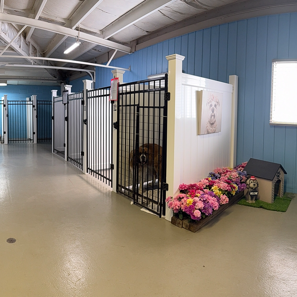 Rosewood x Paws in the Bath