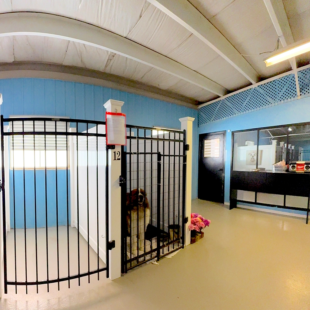 Rosewood x Paws in the Bath