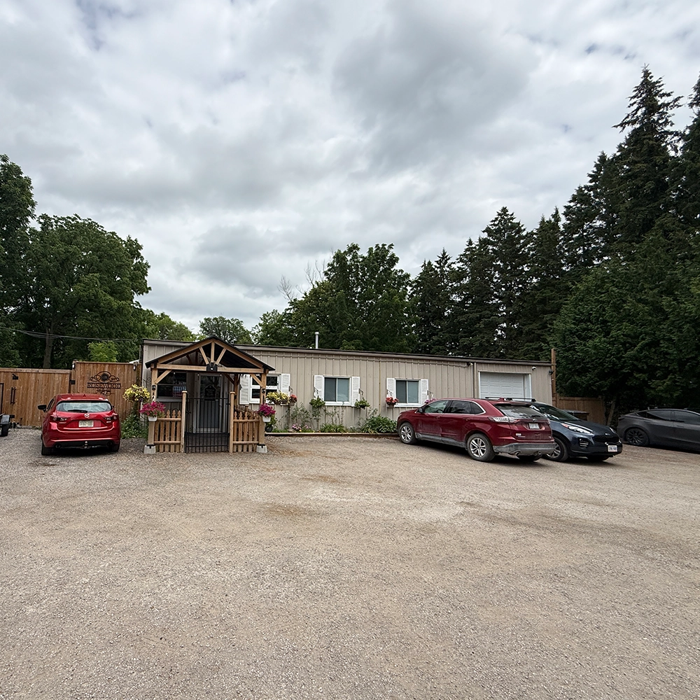 Rosewood x Paws in the Bath