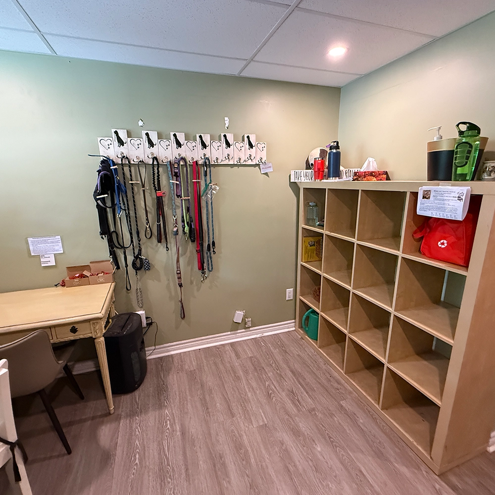 Rosewood x Paws in the Bath