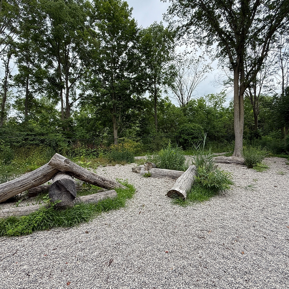 Rosewood x Paws in the Bath