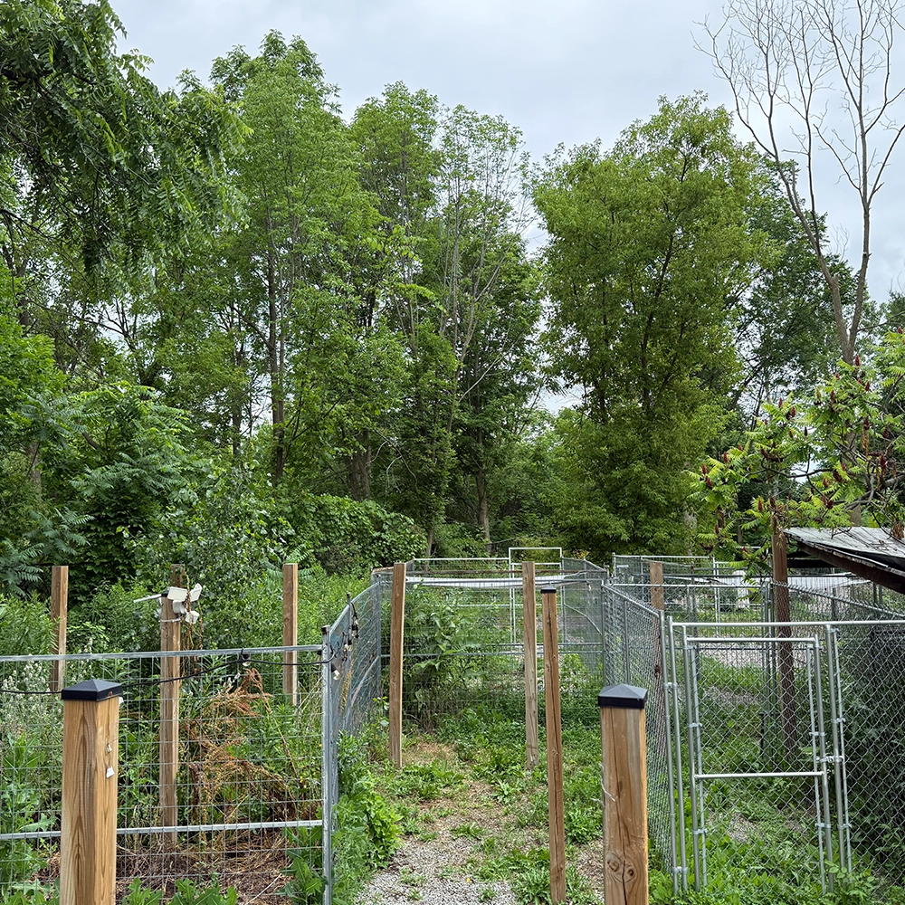 Rosewood x Paws in the Bath