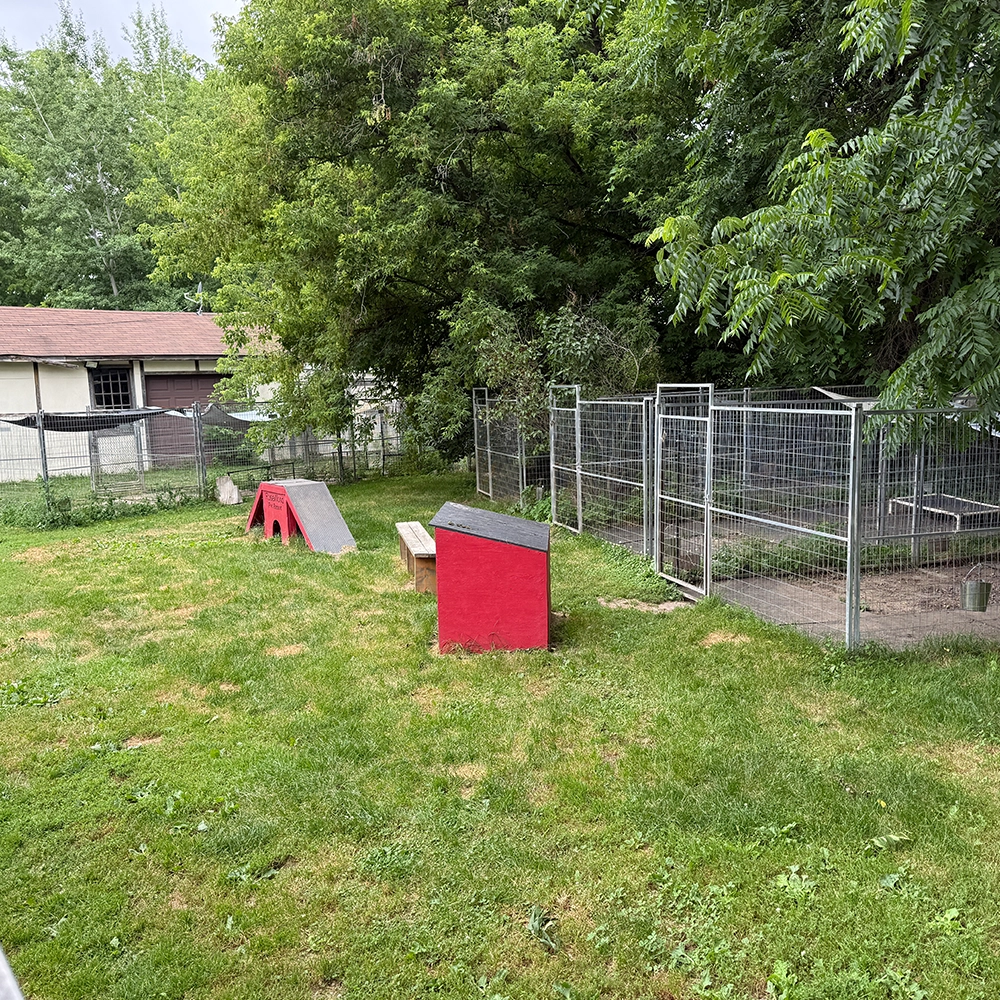 Rosewood x Paws in the Bath