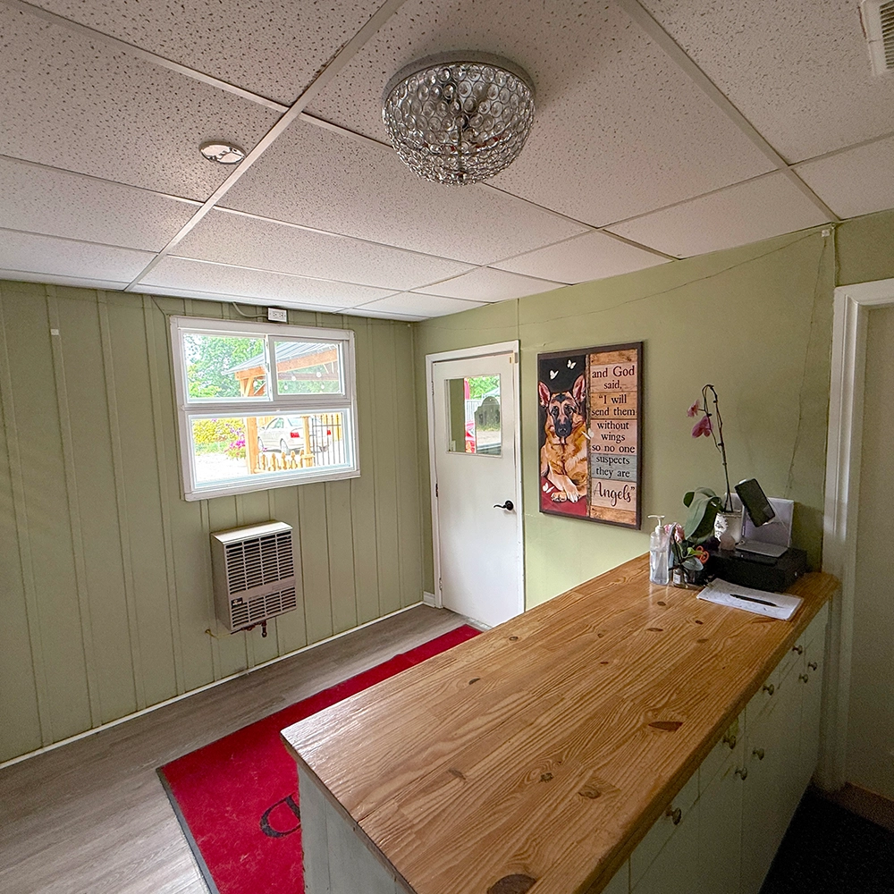 Rosewood x Paws in the Bath