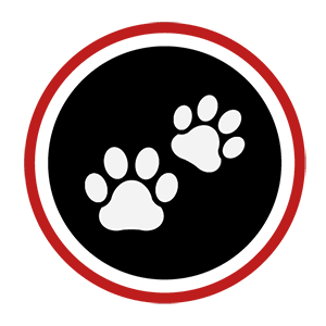 Rosewood x Paws in the Bath