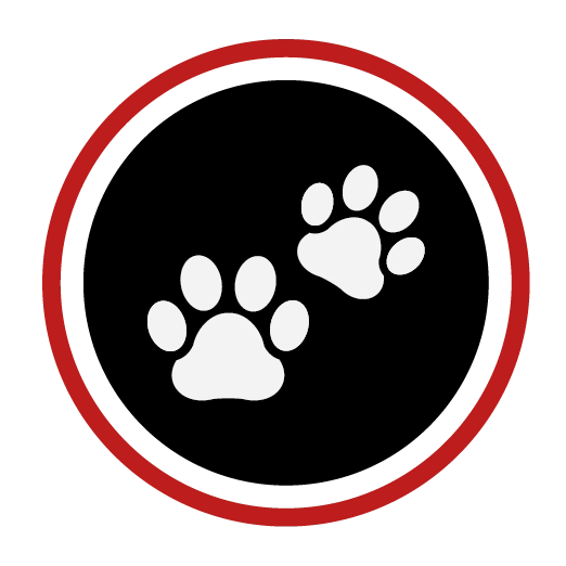 Rosewood x Paws in the Bath