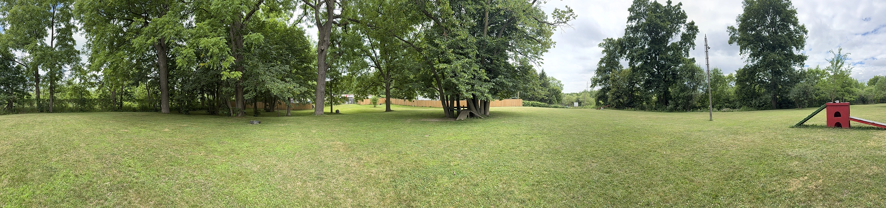 Rosewood x Paws in the Bath